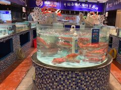 -尚海豆捞(乐虹坊店)