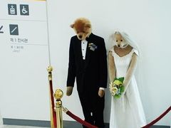 -济州岛泰迪熊博物馆