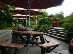 -杭州第一世界大酒店·云曼温泉