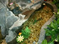 -莱仪堂艾灸经络养生馆(九亭一店)