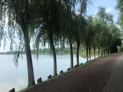 -艾溪湖湿地公园