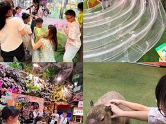 -正佳雨林生态植物园