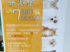 -乐派堂宠物医院·猫友好· 心脏科(东街店)