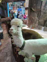 -宝燕乐园(闵行旗舰店)