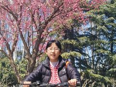 -城市运动公园(未央区)