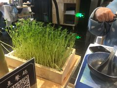 -蜀九香.正宗成都火锅(安吉店)
