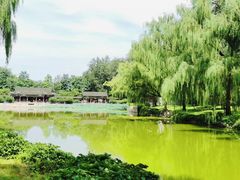 -颐和园