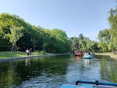 -上海共青森林公园