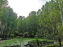 -樱桃沟景区