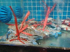 -四川小胡子海鲜(丁村万人海鲜广场店)