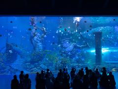 -波塞冬海底世界