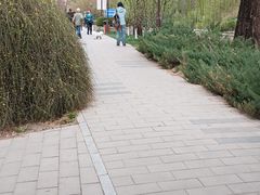 -元大都城垣遗址公园