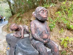 -姑婆山旅游区