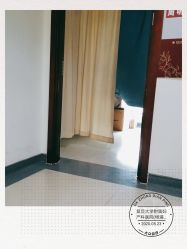 -复旦大学附属妇产科医院(杨浦院区)