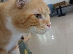 -平行世界·猫咖(首经贸店)
