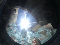 -睿金宠物医院·CT·肿瘤·骨外科