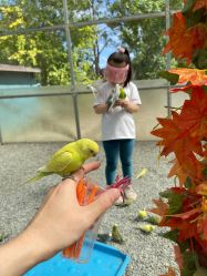 -萌宠亲子动物乐园(槐房万达店)