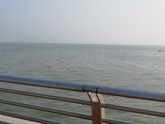 -演武大桥观景平台