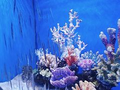 -多彩贵州城极地海洋世界