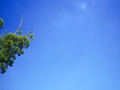 -春花秋色城市公园