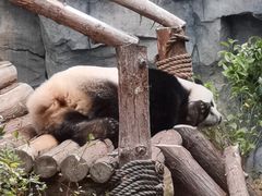 -泉州海丝野生动物世界