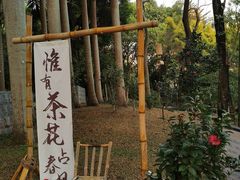 -深圳国际园林花卉博览园