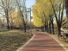 -南长河公园