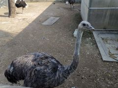 -祥源·阜阳生态乐园