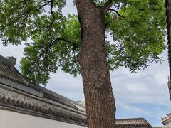 -保定直隶总督署博物馆