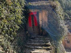 -杨家堂村