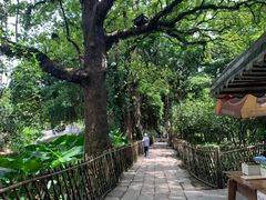 -小洲村