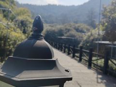 -树山生态村