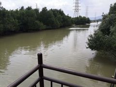 -崖口红树林海鲜餐厅