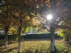 -上海昆虫博物馆