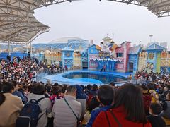 -华夏文旅海洋公园