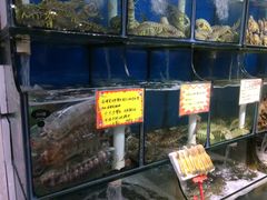 -蚝专家(北滘店)