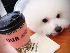 -香奈儿嘉柏丽尔香水展
