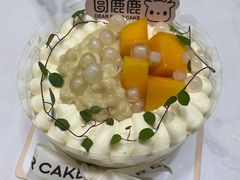 -圆鹿鹿·鲜果半糖蛋糕(常平店)
