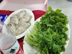 -花苑美食横琴生蚝火锅(拱北粤华路店)