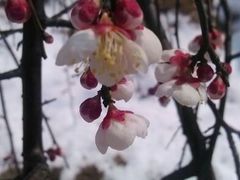 android_upload_pic-合肥三国新城遗址公园
