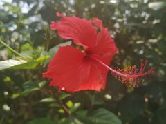 -白沙门生态公园