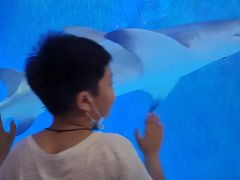 -华夏文旅海洋公园