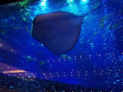 -成都浩海立方海洋公园