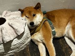 -三目仓咖啡(贤南路店)