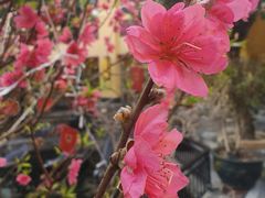 -鹅公村·国家非遗传承(荔湾店)