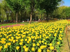 -长春公园(普阳街道)