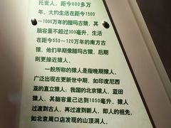 -河南自然博物馆