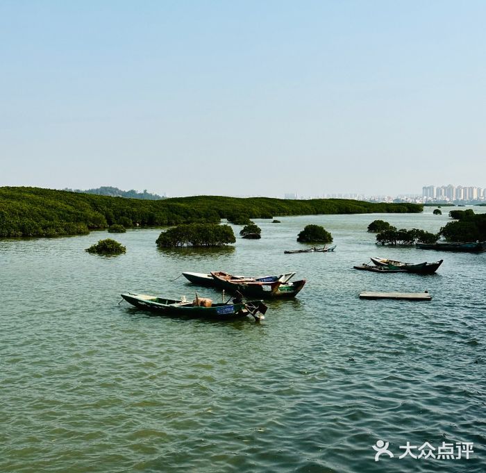 洛阳桥图片