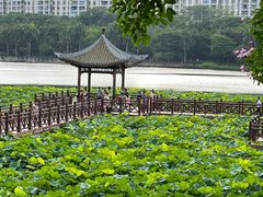 -南宁南湖公园