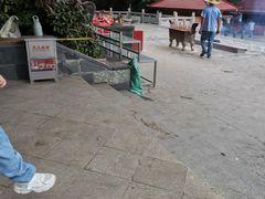 -凤凰山公园-龙王古庙